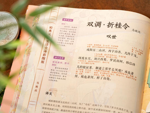 【十点出版】《经典元曲》烫金典藏全彩版，全注全译 + 800幅传世名画，一书揽尽东方美学的浪漫与风骨 商品图8