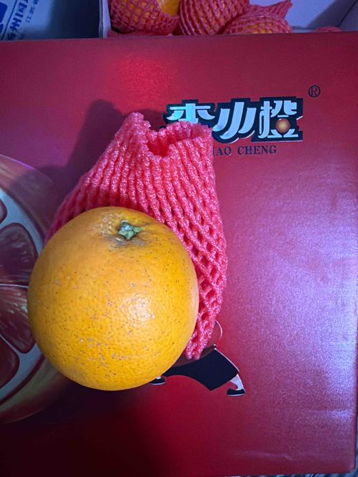 血橙（润达） 商品图0