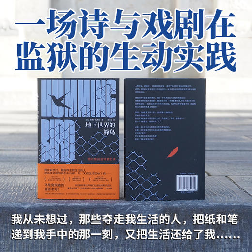 地下世界的蜂鸟（一部奏响私人记忆与囚徒困境交织的生命共鸣，获美国多项图书大奖） 商品图1