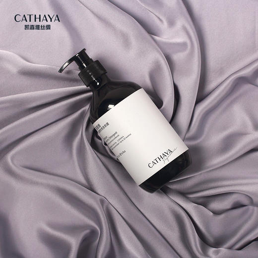 凯喜雅 丝绸专用洗衣液 商品图0
