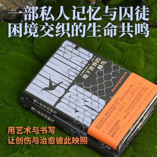 地下世界的蜂鸟（一部奏响私人记忆与囚徒困境交织的生命共鸣，获美国多项图书大奖） 商品图2