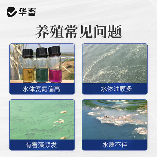 华畜益生菌兽用牛羊禽EM菌种种植发酵剂有机肥菌粉水产养殖专用液 商品图2