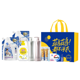 阿道夫/冷酸灵/立白/威露士/蔬果园 家庭清洁礼包 1000ml+1865g（赠：礼袋随机）