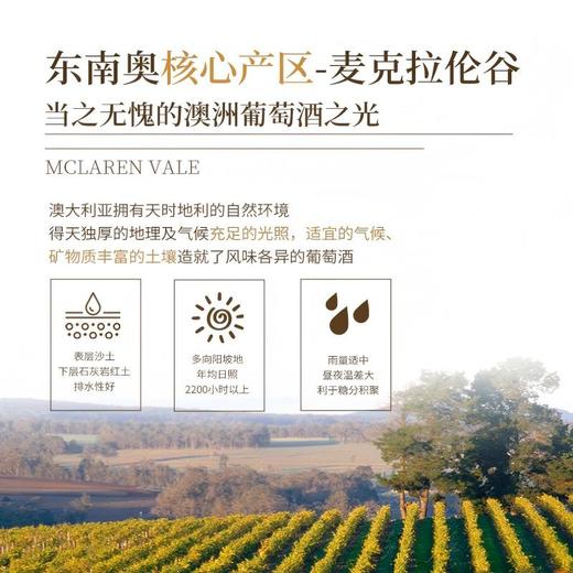 热卖中！！【1919全球酒水连锁专柜款 澳大利亚原瓶进口】麦克尔Michael西拉干红葡萄酒 14.5度干红 商品图10