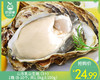 山东乳山生蚝（3＋）/1箱（8-10个，共1.5kg±100g）配蚝刀 商品缩略图0