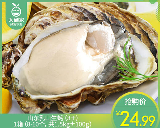 山东乳山生蚝（3＋）/1箱（8-10个，共1.5kg±100g）配蚝刀 商品图0