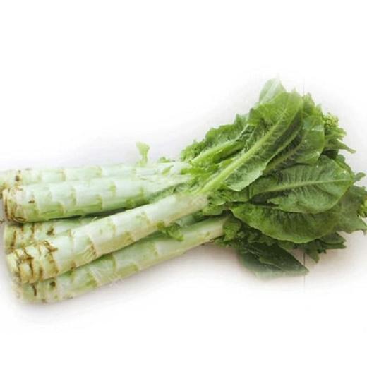 莴笋 约1600g/份 商品图1