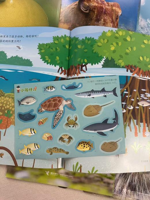 【超划算】小聪仔科普版2025年7-12月半年珍藏+加送精选幼儿过刊2本  2-8岁儿童 商品图3