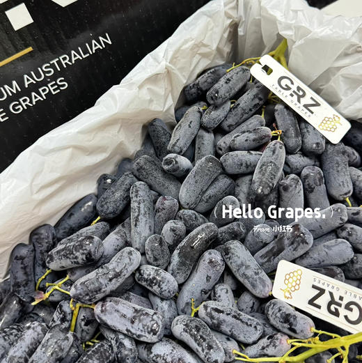 石家庄优选仓库速达，澳洲黑手指 黑提GRZ，果肉颗颗饱满，皮薄脆甜，高甜无籽，2斤散装称重 商品图9