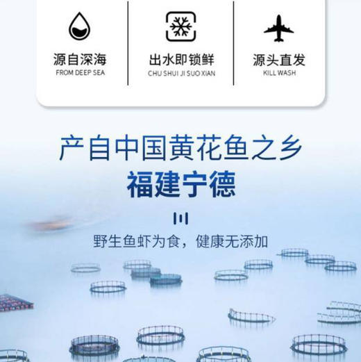 🐟宁德深海80-100米野化养殖黄鱼、4*250g条/箱 冰鲜空运 商品图3