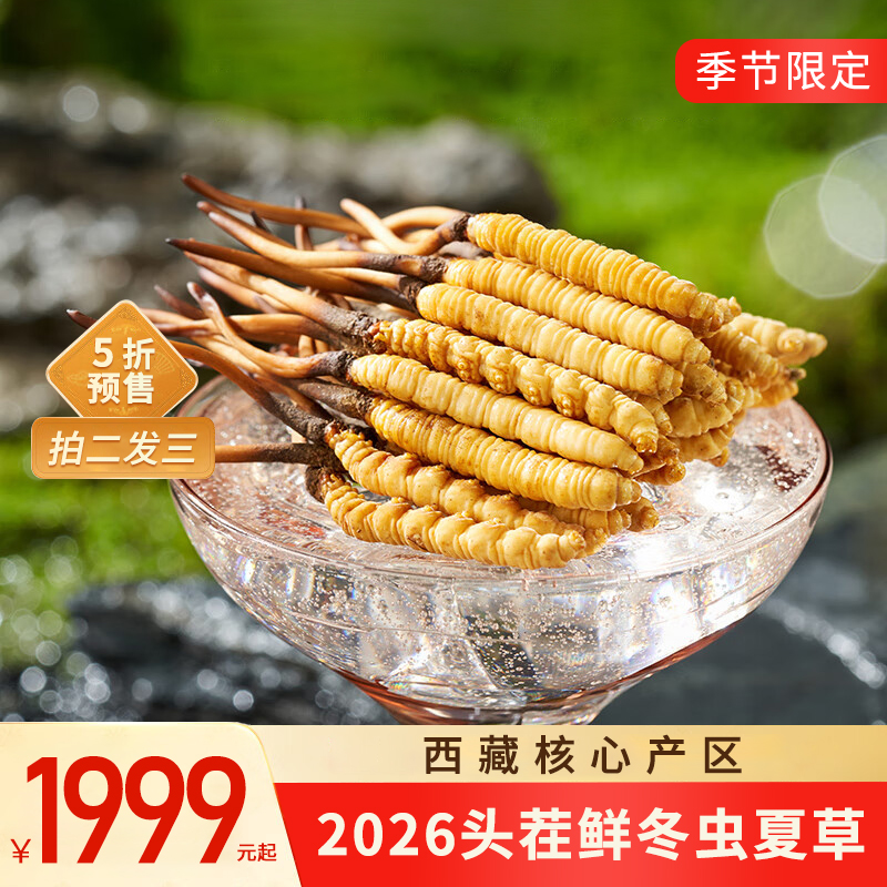 【高原第一鲜·西藏鲜冬虫夏草】2026头茬新鲜鲜虫草！源自“世界屋脊”西藏 核心产区 源头采挖 季节限定 高山雪顶 净土好草 五折预售中！（拍2发3）