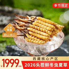 【高原第一鲜·西藏鲜冬虫夏草】2026头茬新鲜鲜虫草！源自“世界屋脊”西藏 核心产区 源头采挖 季节限定 高山雪顶 净土好草 五折预售中！（拍2发3）