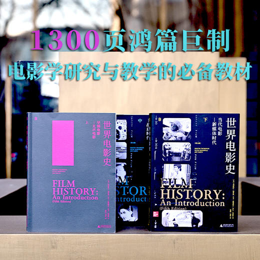 世界电影史（第五版）全球三十年畅销的电影史经典 当之无愧的首选电影教科书 戴锦华 杨远婴 毛尖 推荐 商品图4