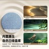 【枕边音碟】超薄助眠枕上音响睡眠音箱听歌神器噪音动态枕边蓝牙 商品缩略图6