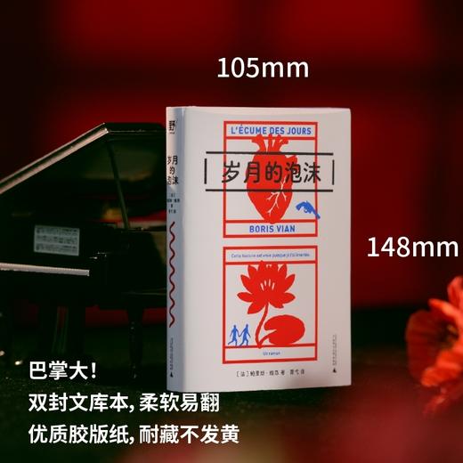 岁月的泡沫（波伏瓦、加缪的密友，法国文坛鬼才书写爱情霍乱！科塔萨尔、鲍德温盛赞！ 商品图2