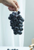 第十一年订单式种植【云南夏黑葡萄】无籽或少籽，不打膨大剂，多挂树20天采摘，风味十足（72小时内发货） 商品缩略图14