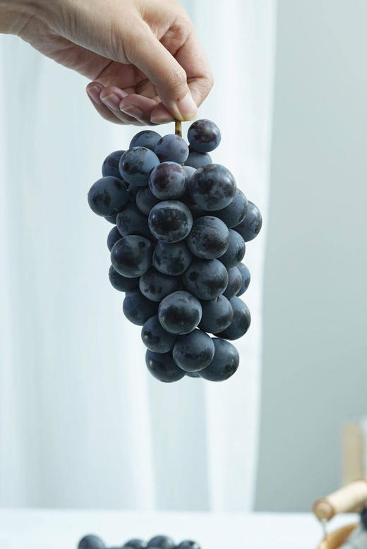 第十一年订单式种植【云南夏黑葡萄】无籽或少籽，不打膨大剂，多挂树20天采摘，风味十足（72小时内发货） 商品图14