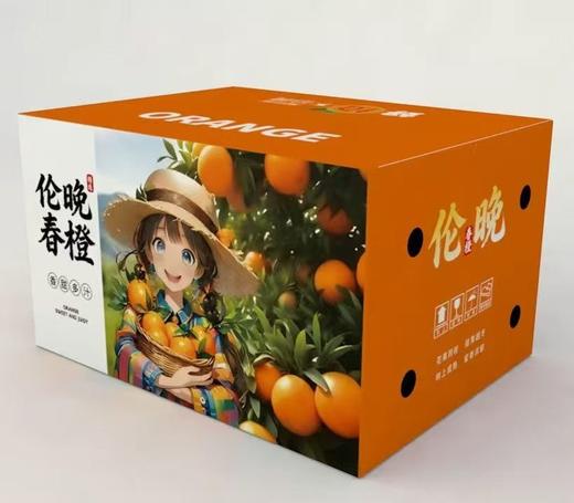 湖北秭归伦晚脐橙 含箱10斤装 商品图0