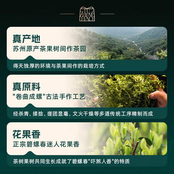 卢正浩绿茶碧螺春一级150g2026新茶上市明前纸包茶叶自己喝送礼春茶 商品图1