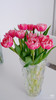 预售15号到货 草莓松饼重瓣郁金香🌷一款很特别的花花 一扎10支支长40厘米 杆粗壮 商品缩略图3