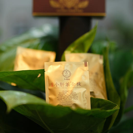 【有机小肝茶 | 四川古蔺老苗医世代传承！道地取材 古法炒制专利 商品图2