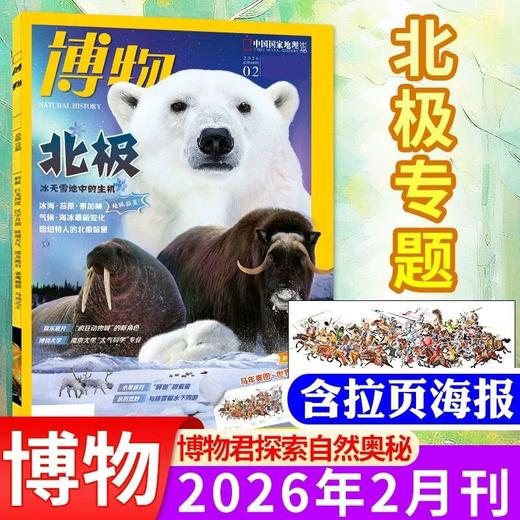 【季度现刊现货速发】想减少试错成本，就从试读开始 商品图4