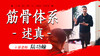 筋骨体系述真 商品缩略图0