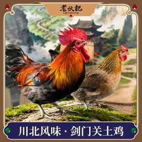【剑门关土鸡】老伙记正宗农家散养土鸡 新鲜整鸡大公鸡老母鸡 四川剑阁跑山鸡 山林散养走地鸡 鲜活现杀冷链直送