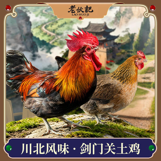 【剑门关土鸡】老伙记正宗农家散养土鸡 新鲜整鸡大公鸡老母鸡 四川剑阁跑山鸡 山林散养走地鸡 鲜活现杀冷链直送 商品图0