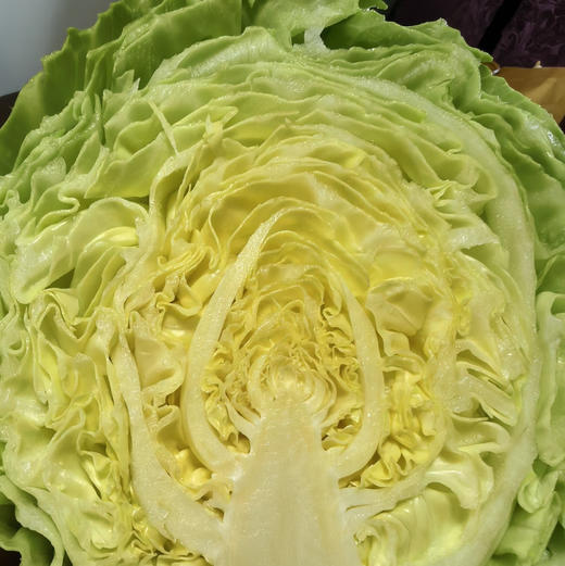 【下单后48小时发货】河北张家口 生态有机蔬菜包5斤装左右/箱，球生菜、绿甘蓝、娃娃菜、莴笋，也可每种单选 商品图8