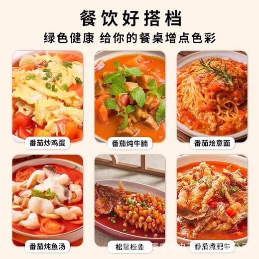 笑厨新疆西红柿块罐头400g番茄块新鲜自然成熟沙瓤0脂番茄碎 商品图3