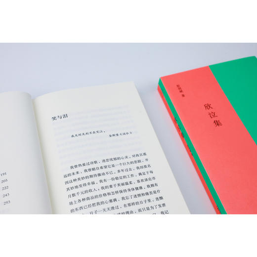 欣泣集（总之，这希望没有希望。除了对荒谬的激情，我已经一无所有。 商品图4