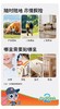 兔头妈妈植物精油爆珠贴8贴/TTMM-404619 商品缩略图3