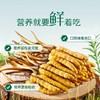 【高原第一鲜·西藏鲜冬虫夏草】2026头茬新鲜鲜虫草！源自“世界屋脊”西藏 核心产区 源头采挖 季节限定 高山雪顶 净土好草 五折预售中！（拍2发3） 商品缩略图2