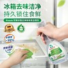 Frosch福纳丝 环保冰箱洁净除味喷剂300ml 商品缩略图1