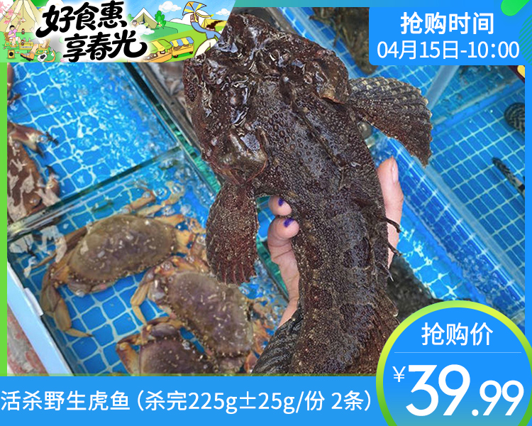 活杀野生虎鱼（杀完225g±25g/份 2条）