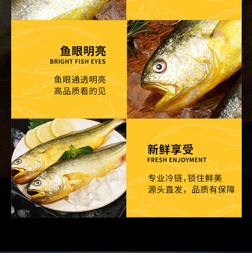 🐟宁德深海80-100米野化养殖黄鱼、4*250g条/箱 冰鲜空运 商品图6