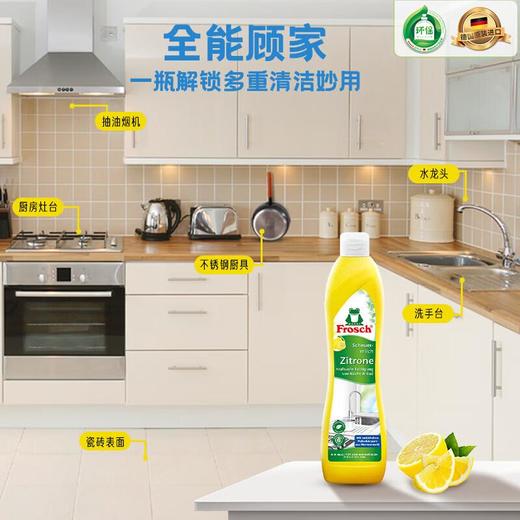 Frosch 柠檬不锈钢/陶瓷多用途清洁剂500ml 商品图5