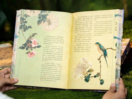 《唐诗宋词诗经·纪念套 》【无刷边】，赠：藏书票4、别册2、画册1、思维导图2， 商品图6