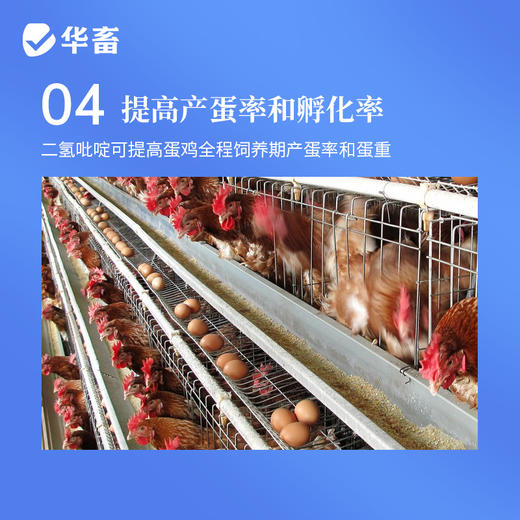 华畜 母子康肥 促进生长 提高饲料利用率 改善繁殖性能 商品图6
