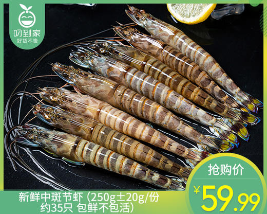 新鲜中斑节虾（250g±20g/份 约35只 包鲜不包活） 商品图0