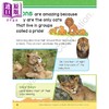 【中商原版】Evan Moor Animals Amazing Earth Adventures and Activities 奇妙的地球冒险 动物 6-7岁 美国教辅原版evanmoor 商品缩略图1