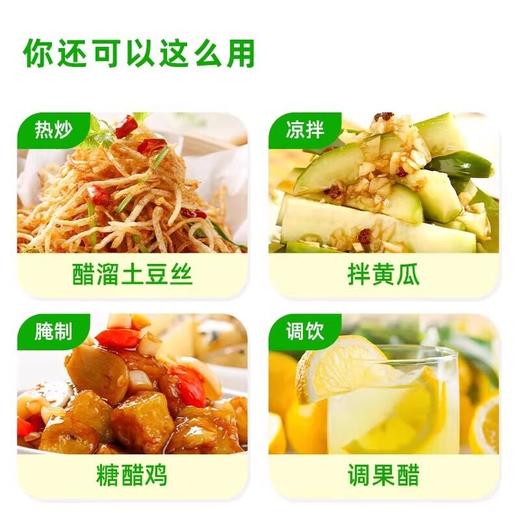 海天酿造白米醋450ml家用小瓶炒菜凉拌凉面调料酿造白醋食用米醋 商品图3