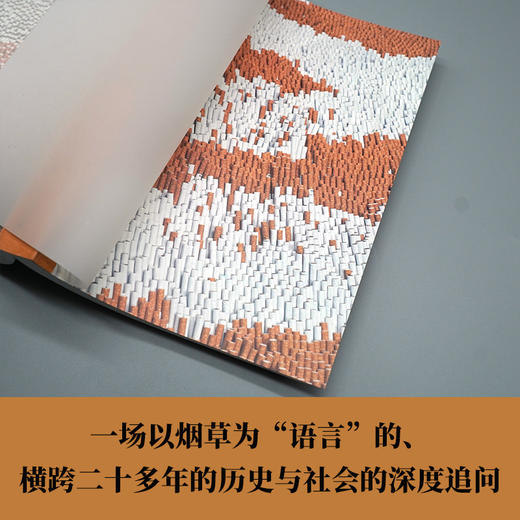 烟草计划：徐冰艺术档案 巫鸿×徐冰，两位大师联手，代表中国当代艺术最高智性与创造力的里程碑之作！ 商品图4