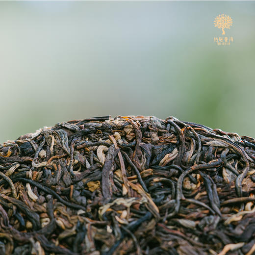 柏联普洱  2026 景迈山生饼 古籽茶 春茶 普洱茶 生茶 饼茶 357g 商品图3