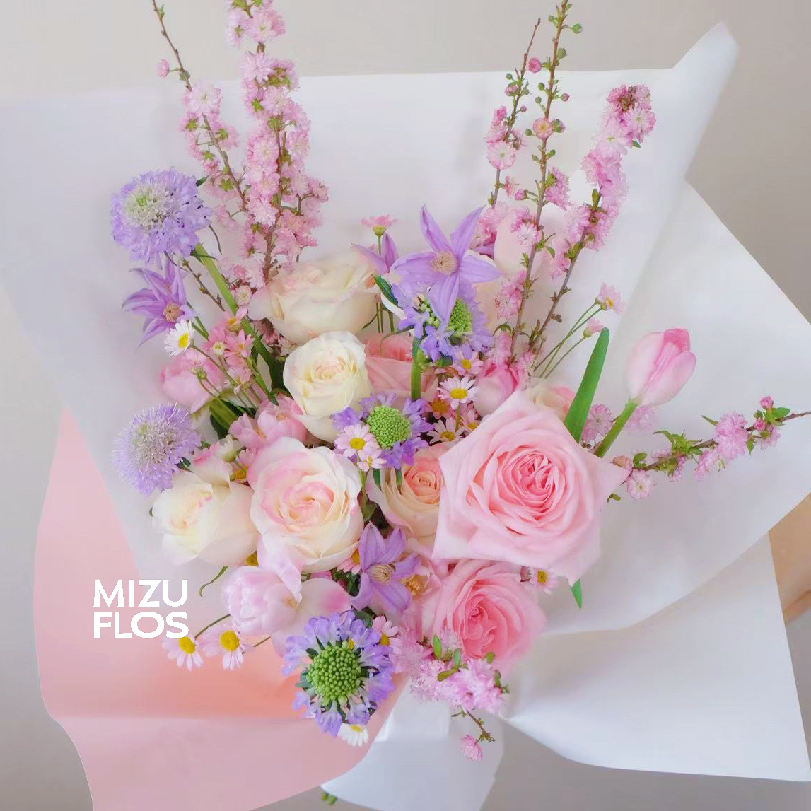 / 繁 花 浅 梦/（今日现花）