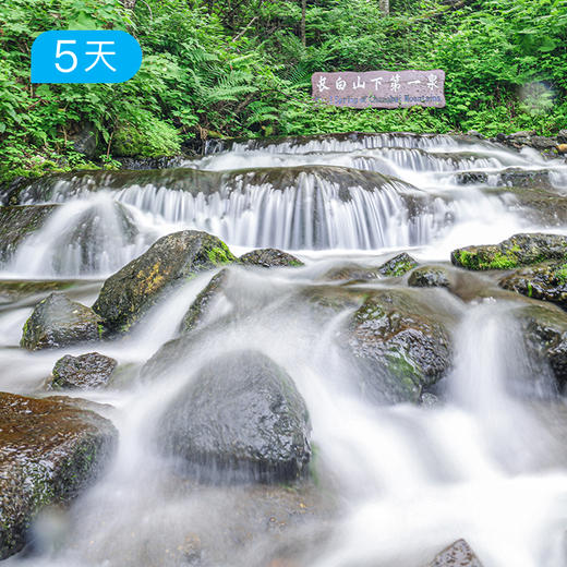 长白山脉秘境穿越 | 北坡天池 原始森林 15公里轻徒步 | 5日 商品图9