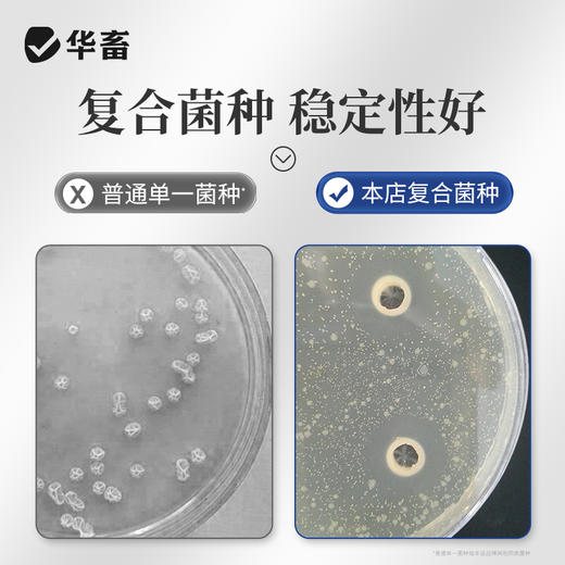 华畜水产专用EM菌2L装 调水净水降解氨氮 商品图1
