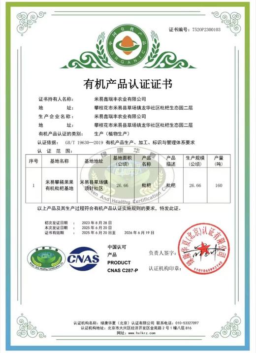 攀枝花米易.冬季早钟枇杷（4盒x400克30克+果型） 商品图4