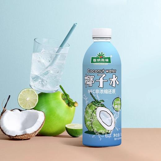 版纳雨林0糖椰汁1L 商品图1